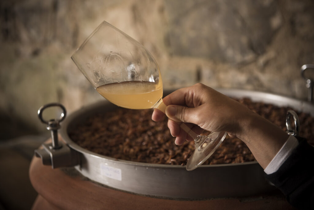 podere Sequerciani
