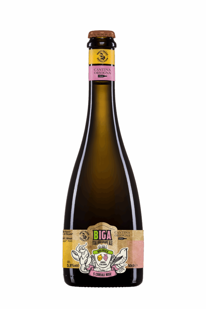 BIGA-rose
